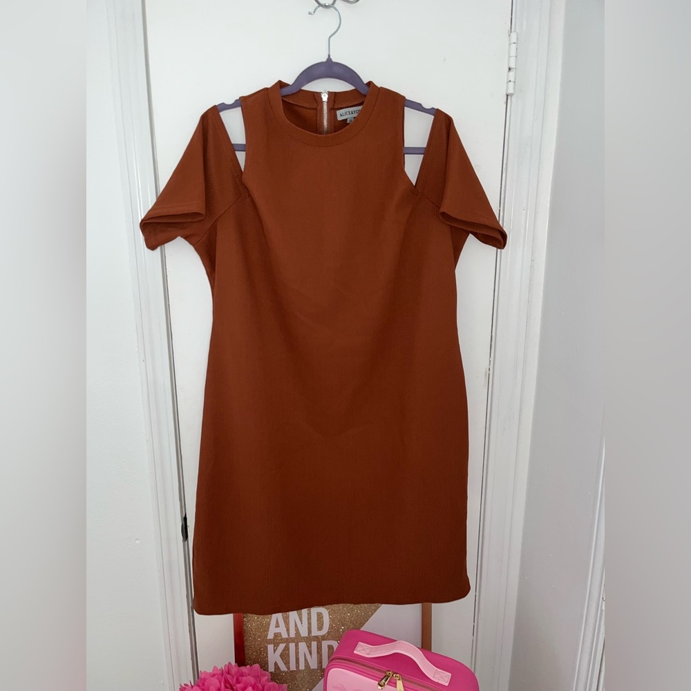 Elegant Brown Dress